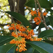 ���ǽ��������