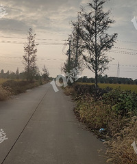 [����]12345������ã���ҿ���һ֦�ƻ����Ծٱ���