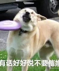 ÿ��ߴߴߣ����軹Ҫ�Ҽ�����165 ����160������׶���