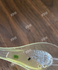 ����ĳ�����Գ�ССǿ���������ﰡ��