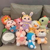 ����һ������