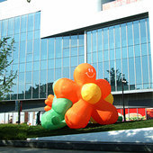 �����ĵķ羰