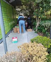 ˫ʮһ��δ�� �����������������9���к������Ϳ�� ���µģ�