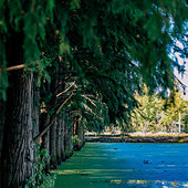 ���˰桰��ɽ����