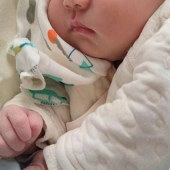 ���������ĺ�ƨƨ��