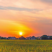 Ϧ������ϼ