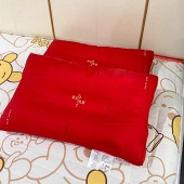 ˫ʮһץ��������