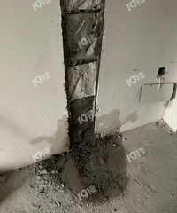 [����]��ʢ�ķ�������2��©ˮ�����ڶ�û�����