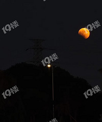 ��̧ͷ�����������ڣ���������ȫʳ��