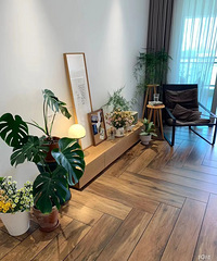 [������]��ѡ����ľ��שvsľ�ذ� һ�θ��㽲���