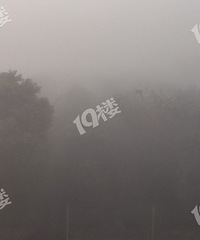 ��������ô󰡣����Ͽ�����ֱ�ˡ�