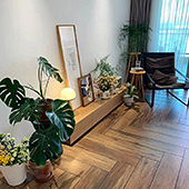 ľ��ש����ľ�ذ壿