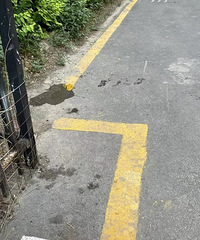 С��������С��������ش�С�� Ⱥ�ﳳ�����ˣ��ǶԻ��Ǵ�?