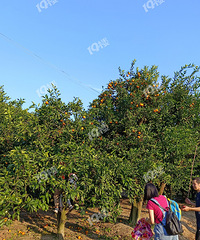 �ϱ��������Ӳȿӣ��۸񲻻��� ���ӻ��ǲ�ģ�