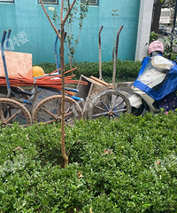 �������д�����Ķ����¼�԰�����ɻ��Ҳ�����