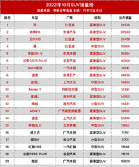 2022��10��SUV����������