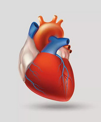 զ�죿����3��࿪ʼ һ���Լ˵4��5����������ͻȻ��һ����