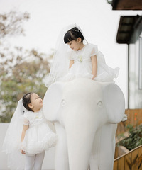 �����ϰ���һ���ɰ���С��ͯ ���ſ�֦ɢҶ������