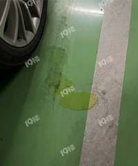 ��19¥�����������Щ©������ɶ��