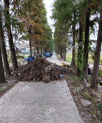 ʩ����·�ڳ����� ����Ÿ���ʾ�ưɣ�����Ȼ������ ��ô�ۻأ�