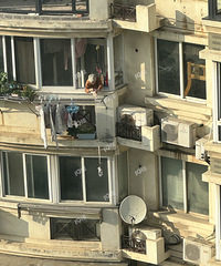 ����һ�̣�5¥������Ϊ��һֻ������4¥������ ��Ȼ��