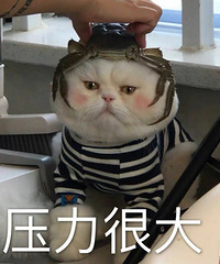 88���Ը񰲾��Ĺ��� ���ж�Ů �Ҹ����˱��صĴ��к�