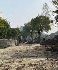 ����ʽ�������������ϼ�������ʷ����ļα����� Ҫ������ˣ�