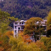 ��ɽ�е���ɫ