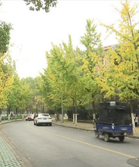 @������ 500�೵λ��ͣ�����������Ӱ��ţ�