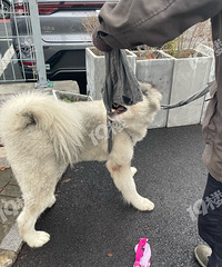 ˭�ҵİ���˹���߶��ˣ��ڼκ�·�ϵļ���׿�����ǵϵ���ߣ�