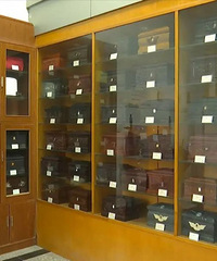 ������һ�������������12�����д�仯�����Ӷ�������Ŀ��