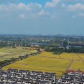 ��������ɫ