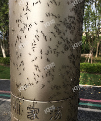 �ܼ��־�֢�������룡��ҵ����������������ĳ��� �����ˣ�