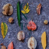 һҶ֮�� ����ȫ��