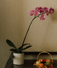 �����ڼ�ϸ��ÿ����������Ծ���ϸѡ ��ϲ��ǧƪһ�ɵĶ���