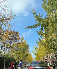 ����·�����ӻ��� �ĵ��˶��� ��ȫ����Ҳ����