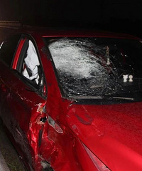 �����賿���������¹ʣ�����ʦ����ײ���� ����˾���������ˣ�