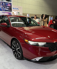 ��ʮһ���Ÿ�ʵ�� �������������