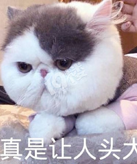 �������롰���������ˣ�500������Ь��3K ���������ס�