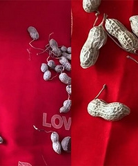 ��ױʦ���ֻ鴲�ϻ������Ծ� ϸ��˲���ס ��ô�������Ѷ�����