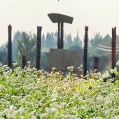 ����ԭ����ô��