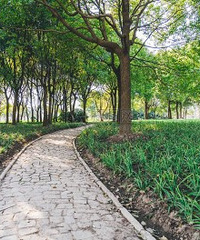 33���ط����뺢��һ����·�빫�����ķ�ʽ������ʶ���ˣ�