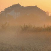 ��Ұ����