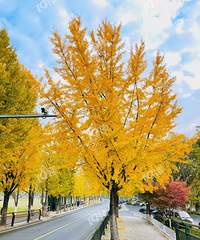 ɹ��ͼ����������·�����͵���������