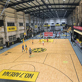 �ᰮ�˶��Ĺ�����