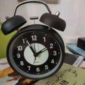 ���������ѻ�