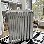 ��͡��ɽ��