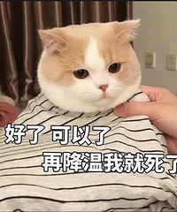 @�����ˣ���Ĺ�˾���յ����𣿵����Ȳ��ܿ���