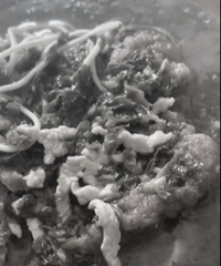 ������ݣ�����ѩ����˿��