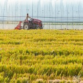 ����ĵ���